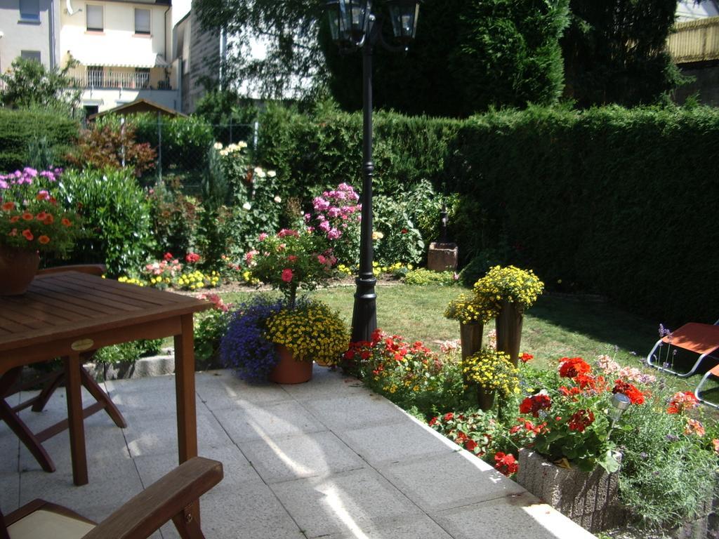 Hotel Gaestehaus Resi à Zeltingen-Rachtig Extérieur photo